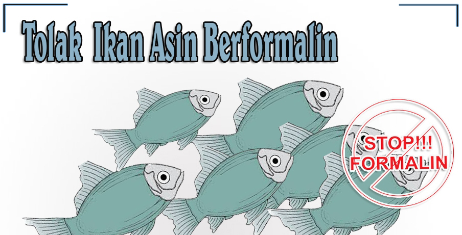 Gambar Ilustrasi Ikan Gambar Terbaru HD